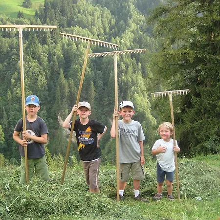 Ferienhaus Hanserhof Zell am Ziller