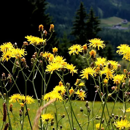 Ferienhaus Hanserhof * Zell am Ziller