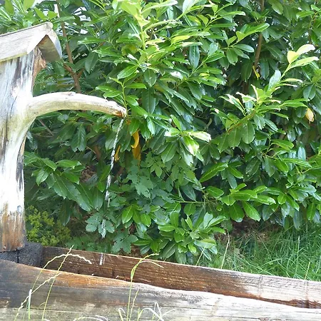 Farm stay Ferienhaus Hanserhof Zell am Ziller