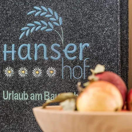 Farm stay Ferienhaus Hanserhof *