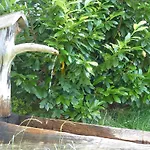 Vakantieboerderij Hanserhof Zell am Ziller