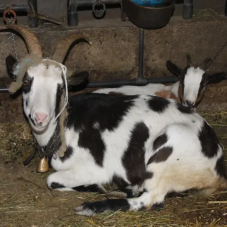 Hanserhof *
