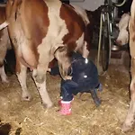 בית חווה Hanserhof *
