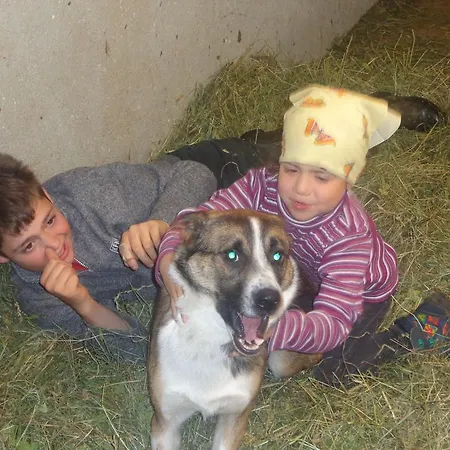 Hanserhof Κατάλυμα σε φάρμα