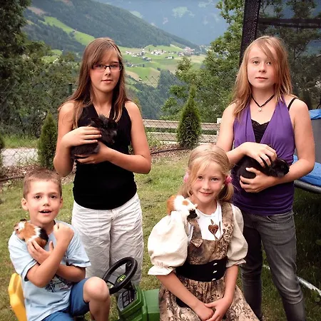 Κατάλυμα σε φάρμα Hanserhof *