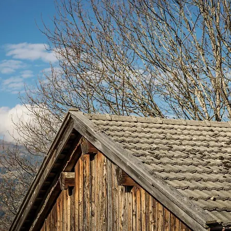 Hanserhof Κατάλυμα σε φάρμα Zell am Ziller