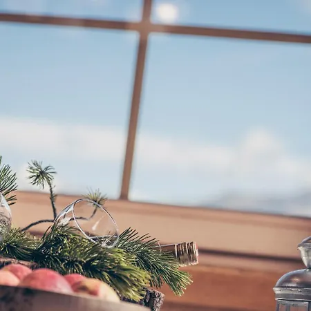 Hanserhof Κατάλυμα σε φάρμα Zell am Ziller