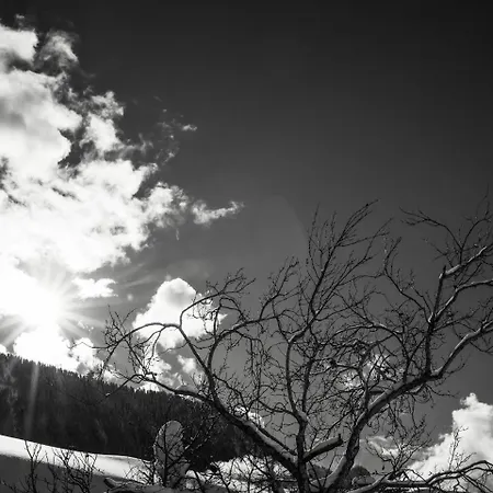 Κατάλυμα σε φάρμα Hanserhof *