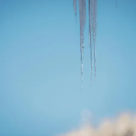 Hanserhof Κατάλυμα σε φάρμα Zell am Ziller